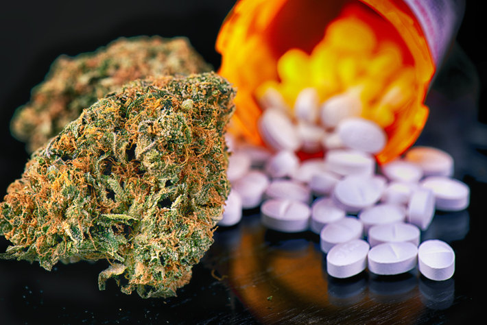 Marijuana and Opioid pills 